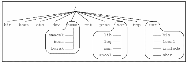 Aktivno UNIX stablo.