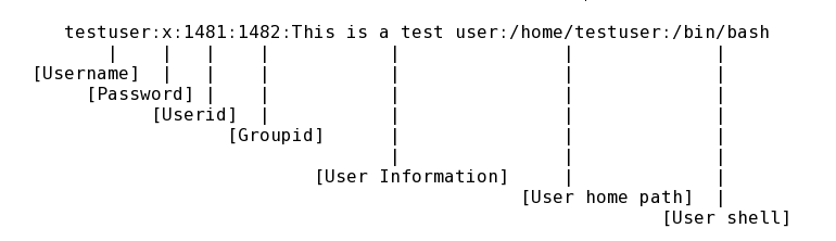 Izgled reda u /etc/passwd.